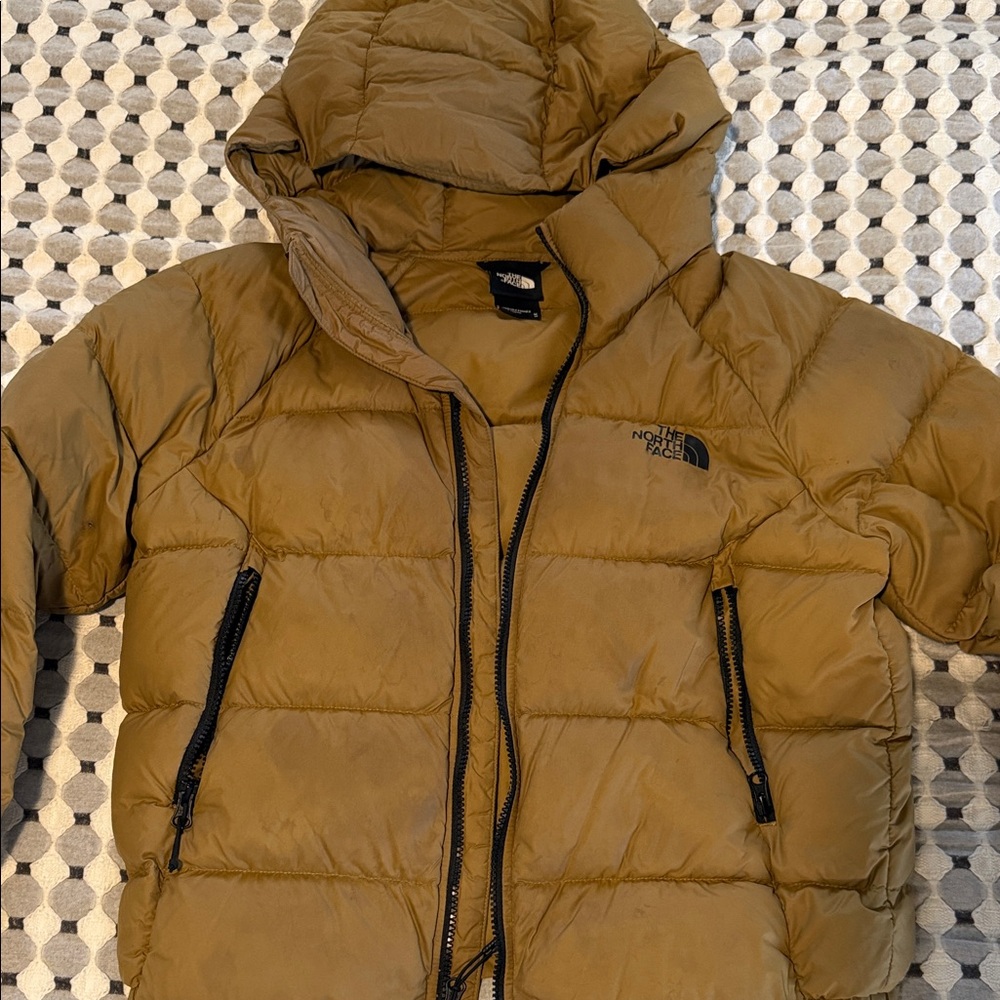 The North Face Men's Hooded Puffer Jacket in Olive Drab